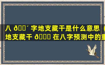 八 🐴 字地支藏干是什么意思（地支藏干 🐕 在八字预测中的重要作用）